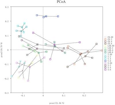 Effect of distillery wastewater on chemical composition and microbial community of Sorghum propinquum silage during micro-permeation of air